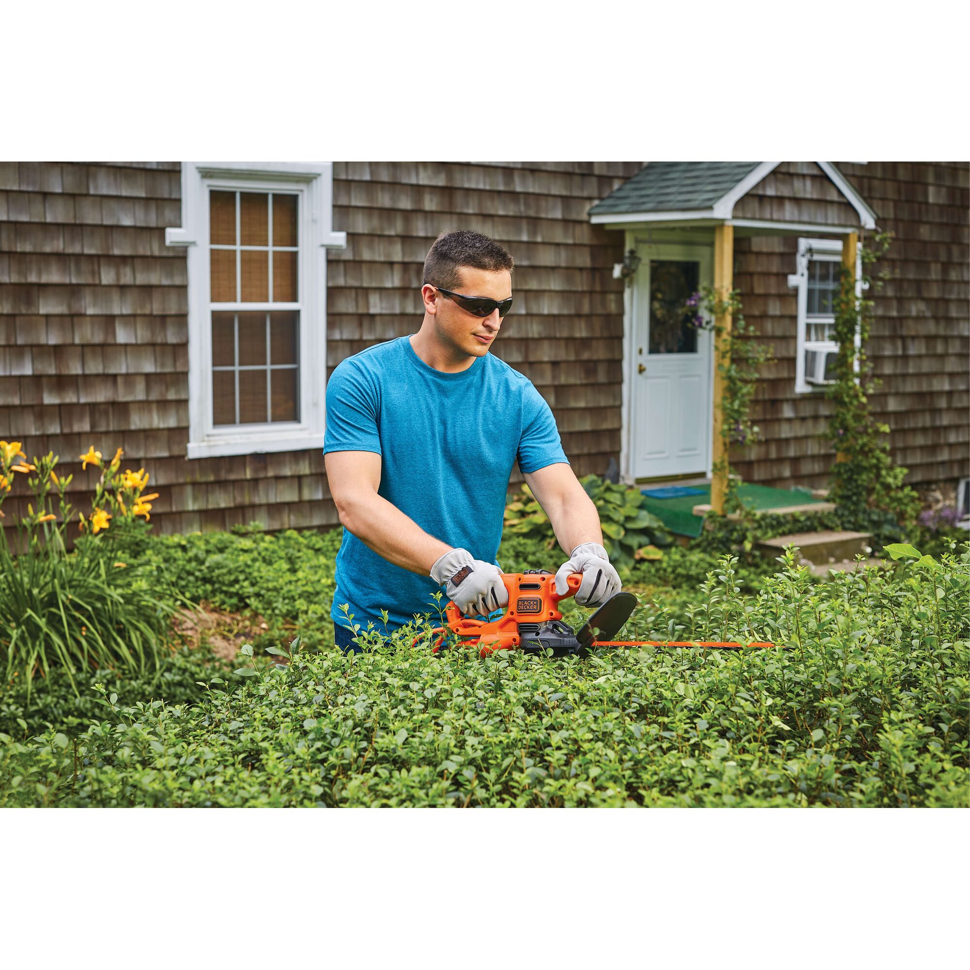 Photo of BLACKDECKER BEHT100 hedge trimmer in use outdoors, trimming bushes near a house.
