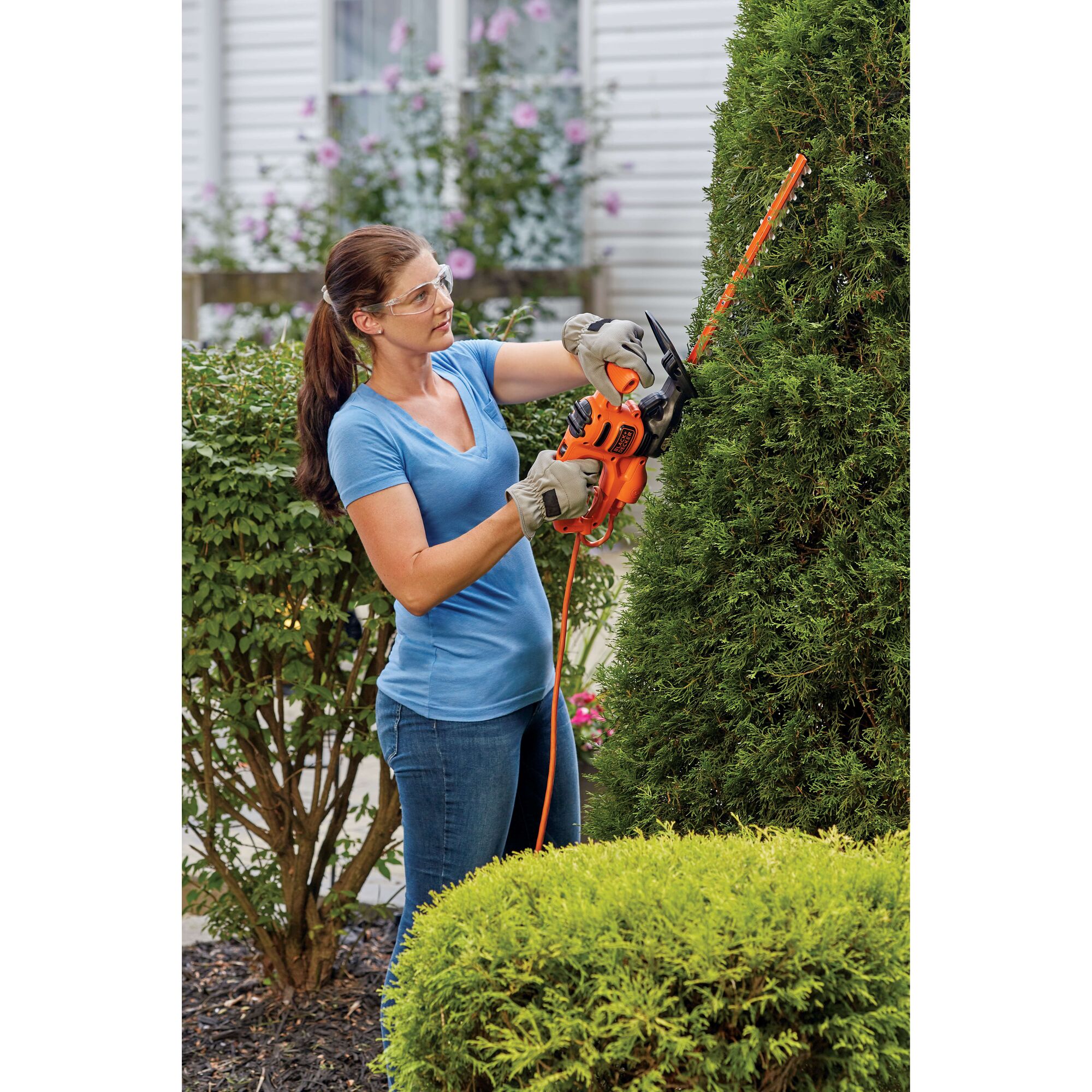 BLACKDECKER BEHT100 hedge trimmer in use outdoors, orange tool trimming tall green bushes.
