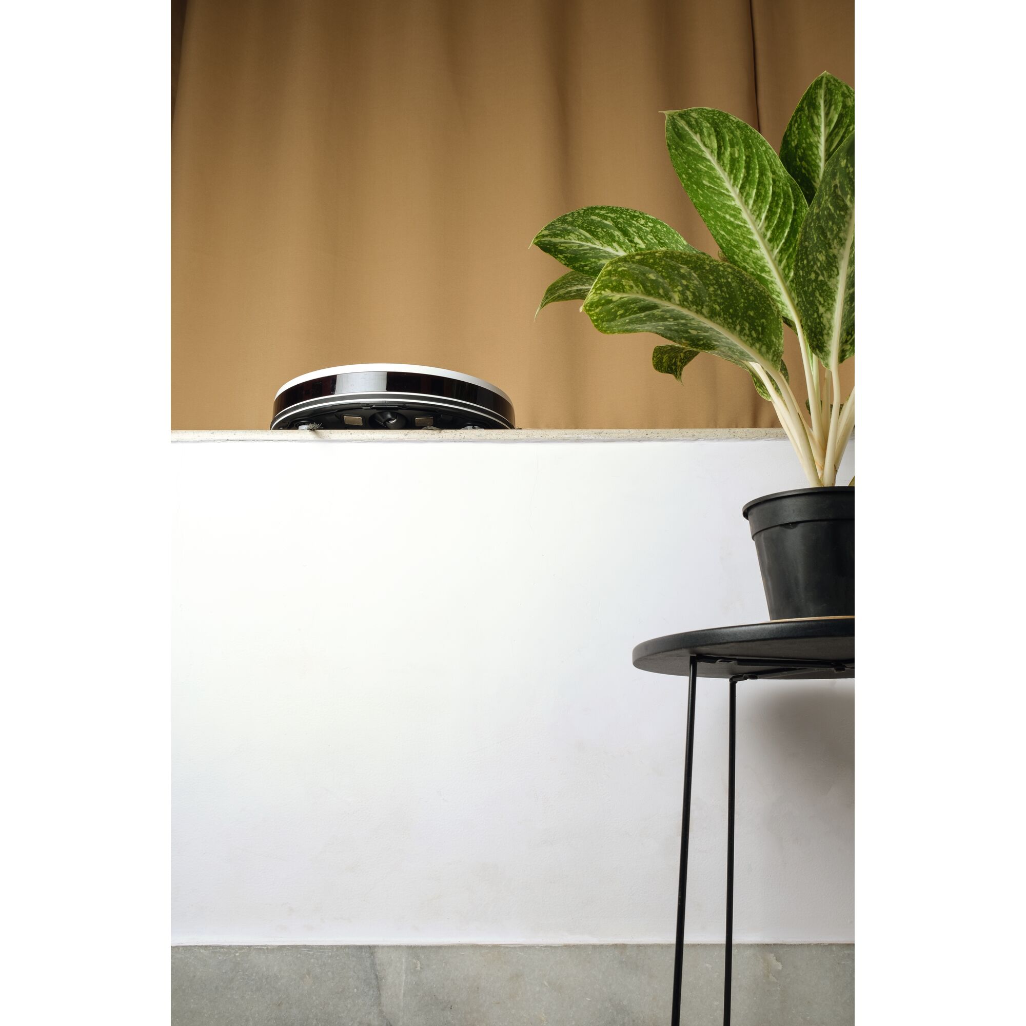 BLACKDECKER BRVA425B00 robot vacuum on ledge beside green potted plant with brown curtain background.