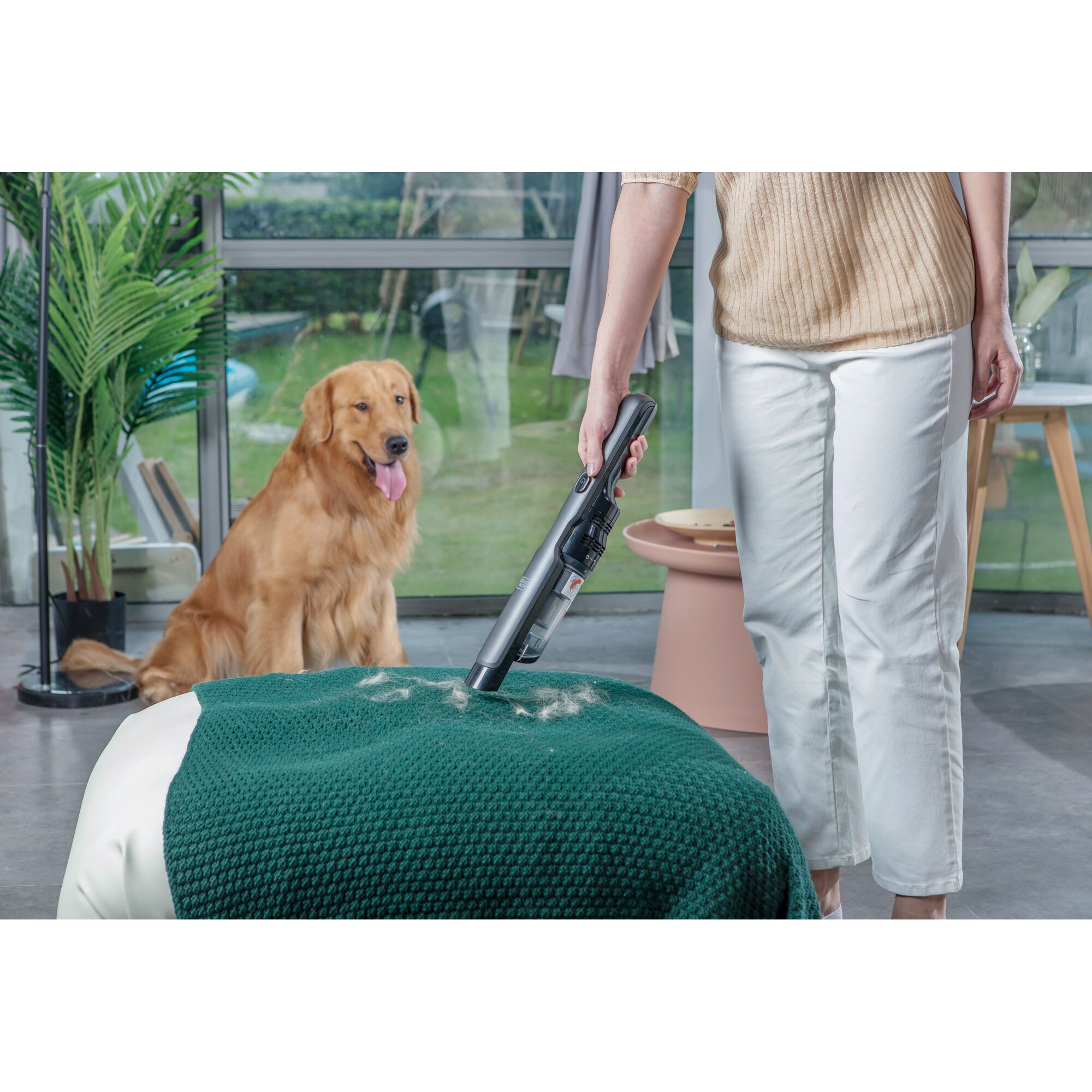 BLACKDECKER DVC320B01 handheld vacuum cleaning pet hair on green blanket in living room.