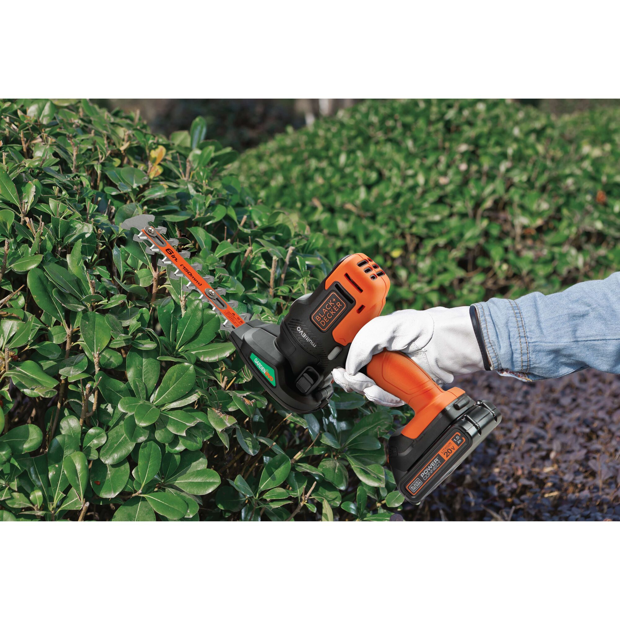 BLACKDECKER GEH183 cordless hedge trimmer used for trimming green bushes outdoors.