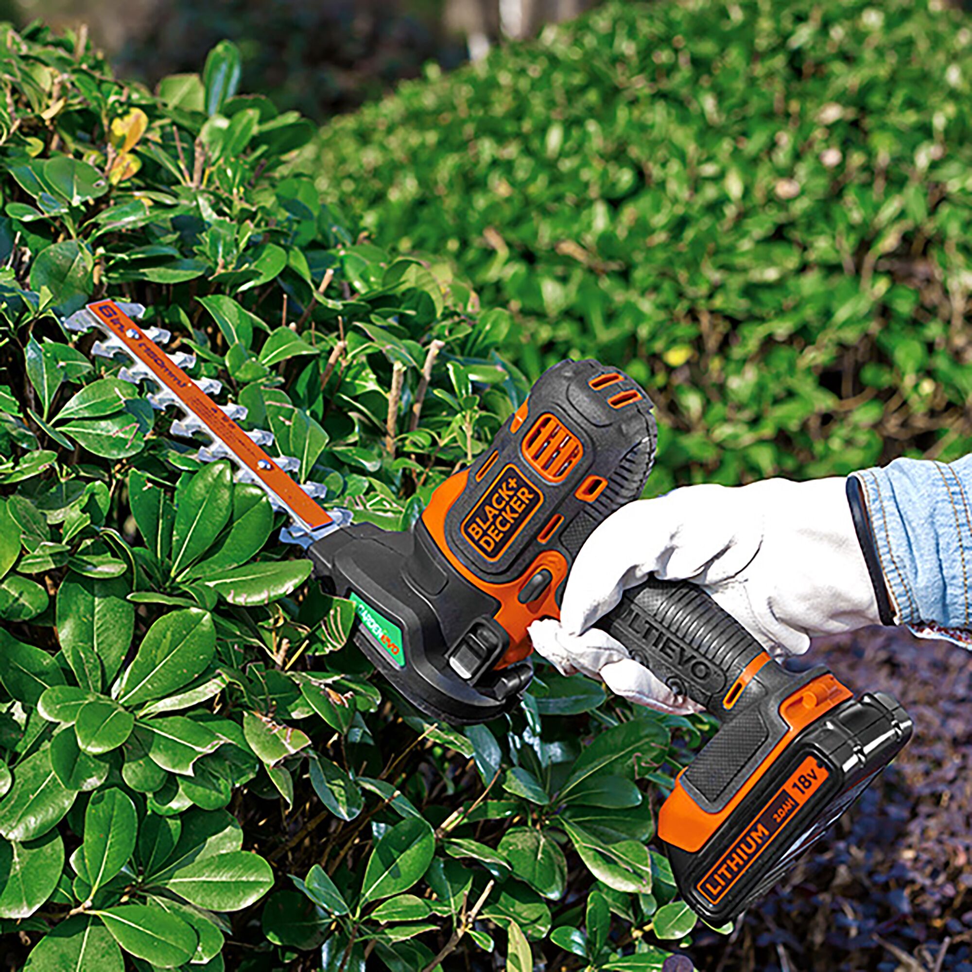 BLACKDECKER GEVO183N hedge trimmer with 18V lithium battery in use trimming green bushes outdoors.