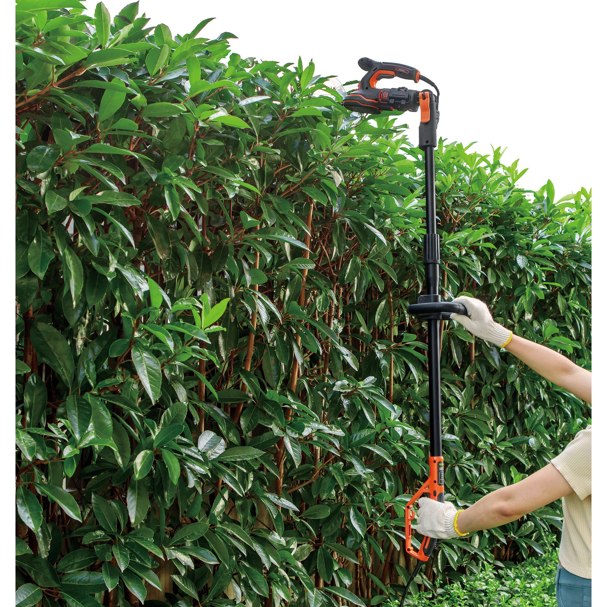 BLACKDECKER GPSH1820 pole hedge trimmer in use, trimming tall green hedge outdoors.