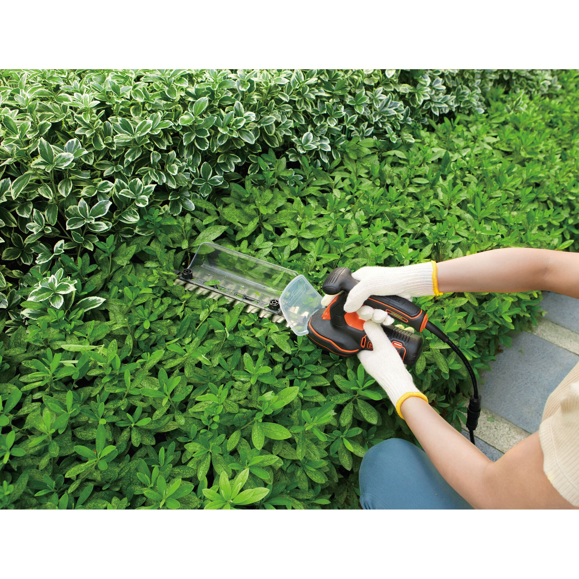 BLACKDECKER GPSH1820 hedge trimmer in use cutting green bushes outdoors, shown from above.