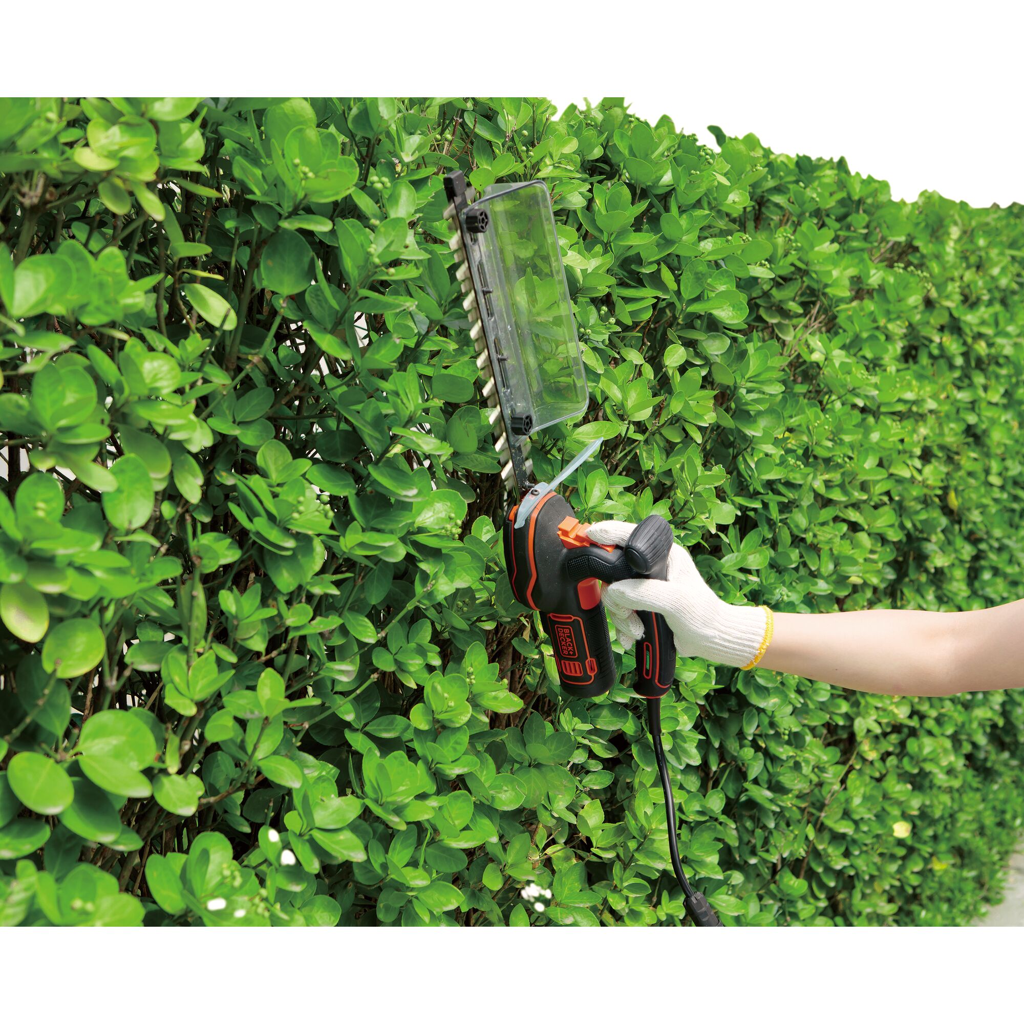 BLACKDECKER GPSH1820 hedge trimmer pruning green hedge outdoors, close-up of tool in use.