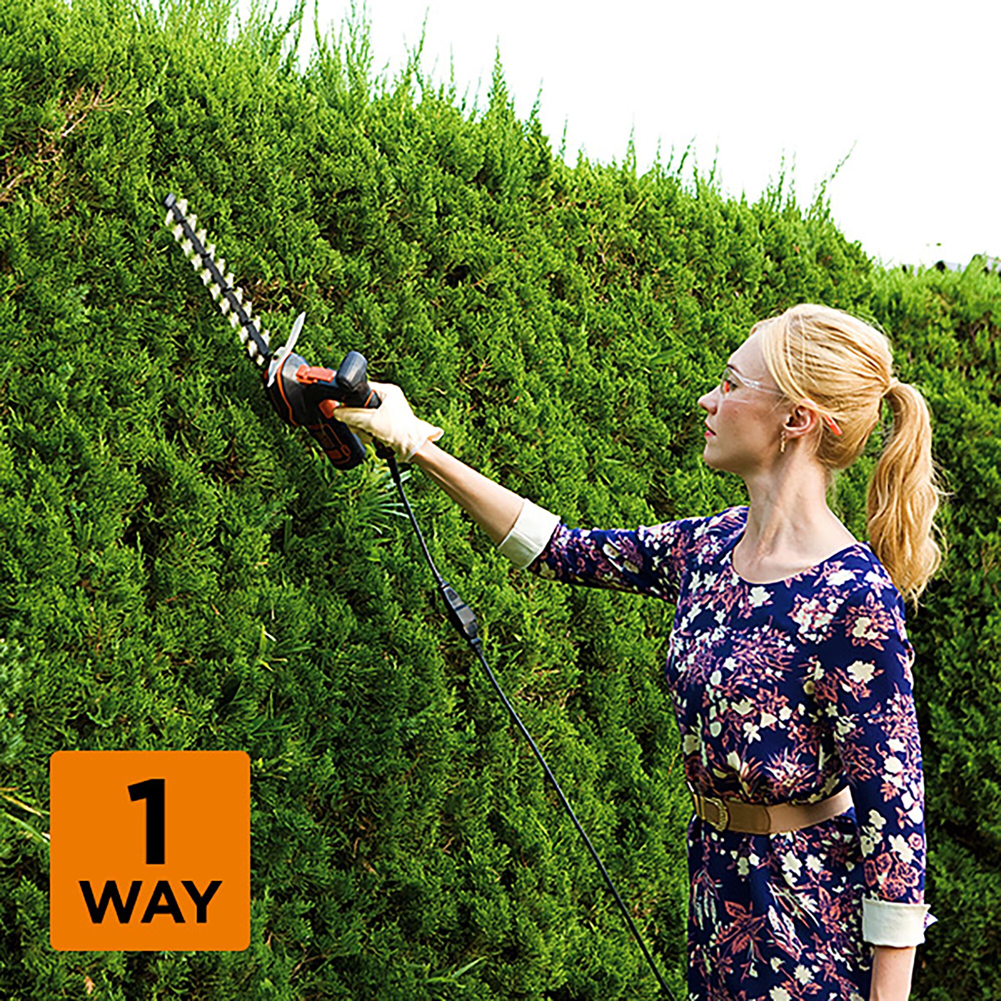 BLACKDECKER GSH1000 hedge trimmer used outdoors for trimming tall green hedges, demonstration of one-way cutting.