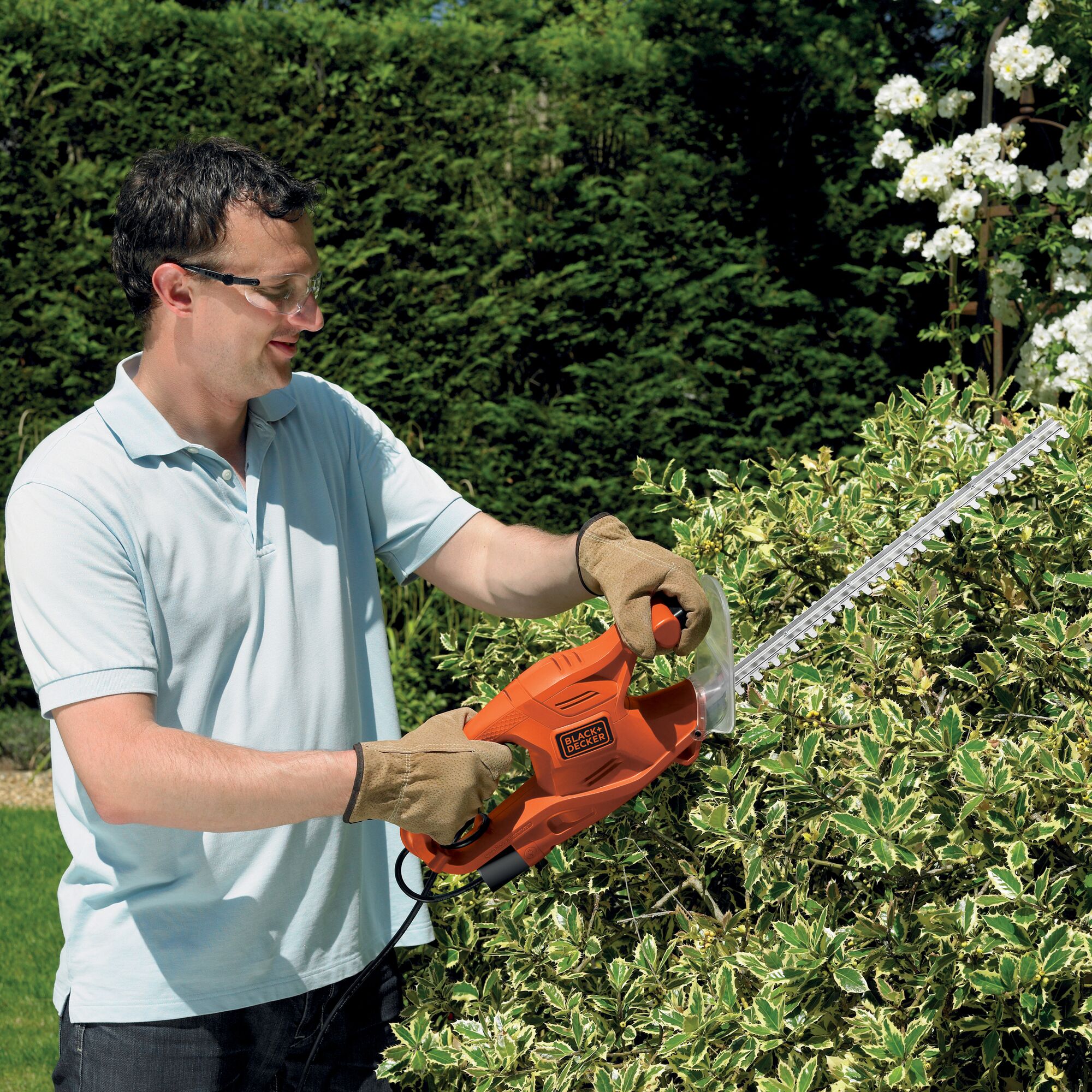 BLACKDECKER GT4245 hedge trimmer in use, orange body, cutting green shrub outdoors.