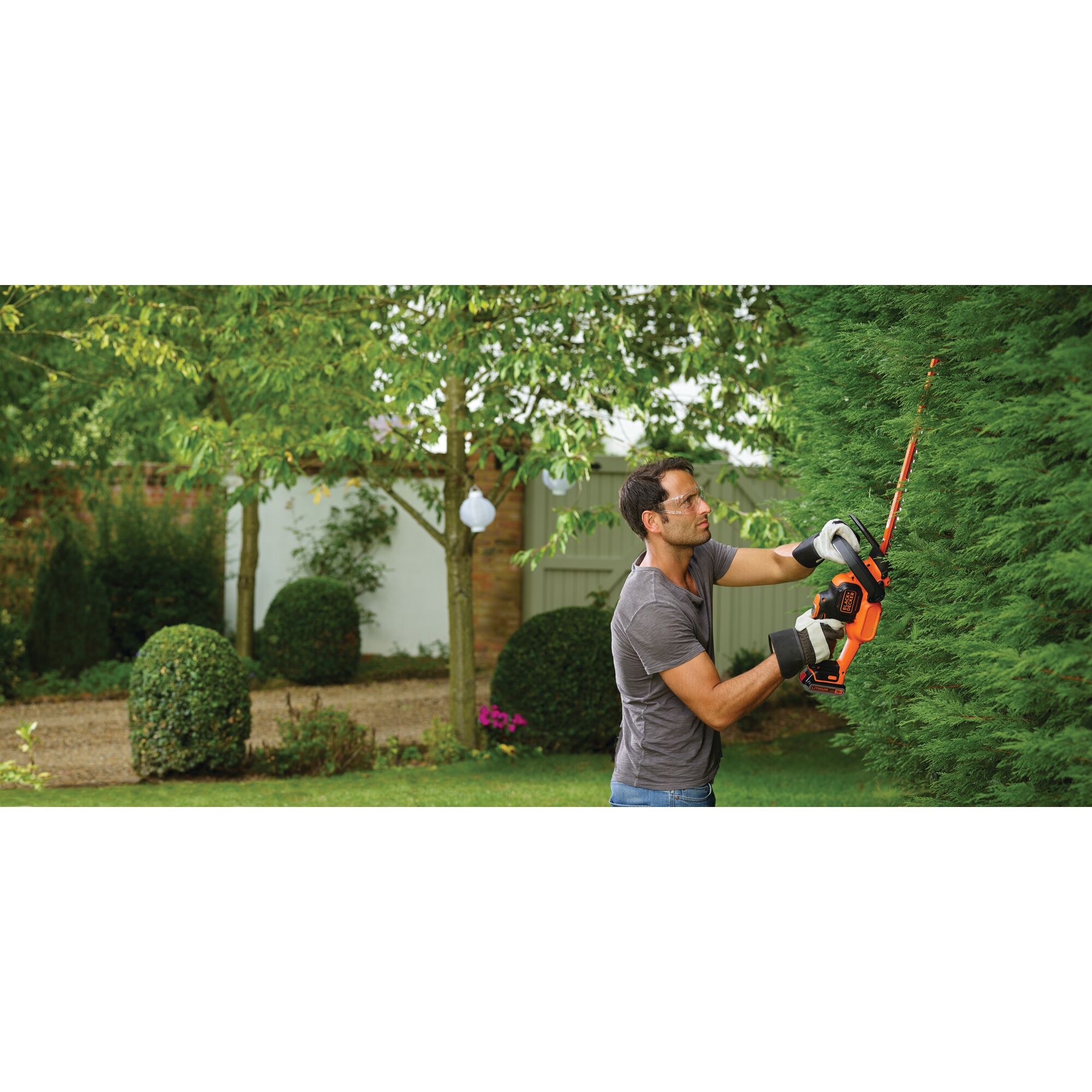 BLACKDECKER GTC18502PC hedge trimmer in use outdoors, orange and black design, trimming tall green hedge