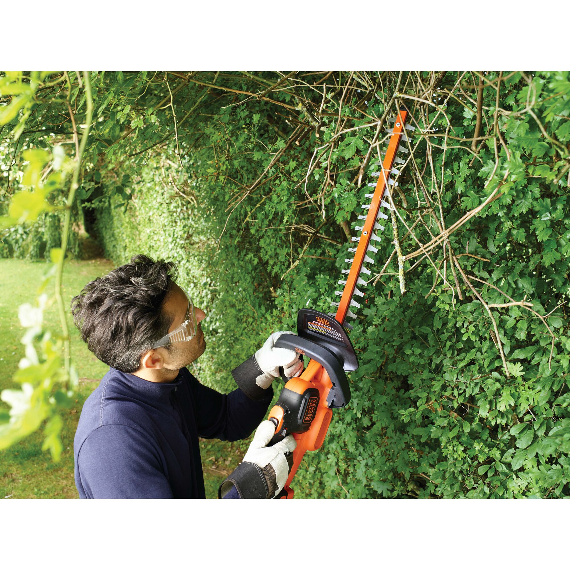 A person wearing gloves is using a BLACK+DECKER GTC18504PC cordless hedge trimmer to trim dense green hedges outdoors. The individual's face is blurred for privacy.