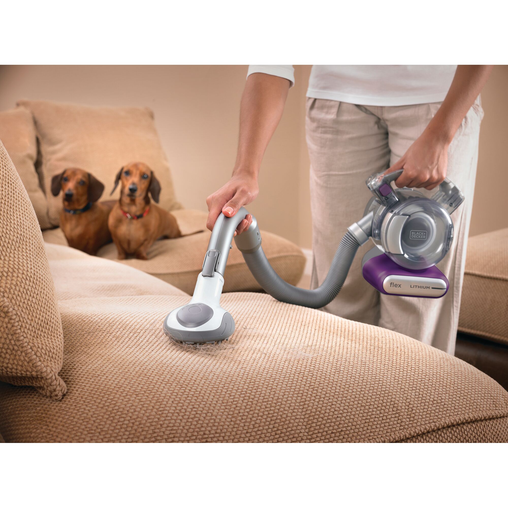 BLACKDECKER PDB315JP handheld vacuum cleaning beige sofa near two dogs in living room.